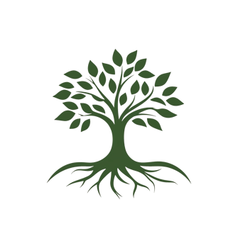 Green tree with leaves and roots showing growth png
