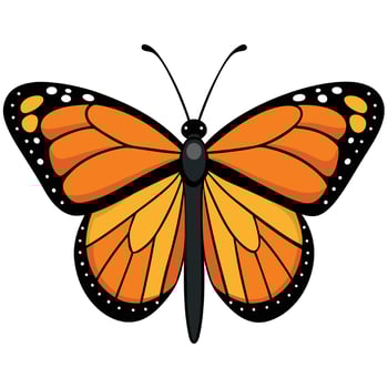 Monarch butterfly clipart vector