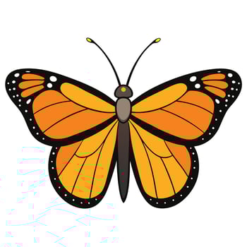 A monarch butterfly is shown on a white background vector