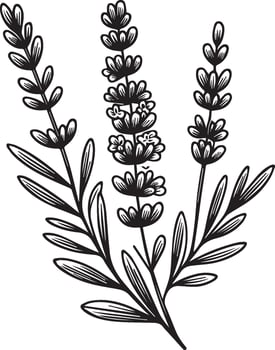 Minimalist Lavender flower tattoo drawings, calla lily flower coloring pages for kids, hand-drawn Lavender flowers, small Lavender flowers tattoo drawings vector