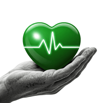 Hand Holding a Pulsating Green Heart Isolated on Transparent Backdrop png
