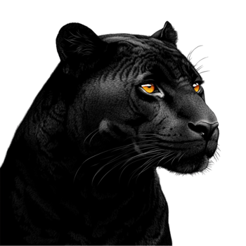 Panther Growling Transparent Background png