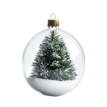 Beautiful christmas tree inside snow ball front view isolate on transparent background png