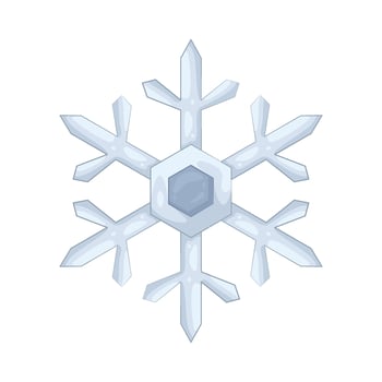 Illustration of snowflake vector