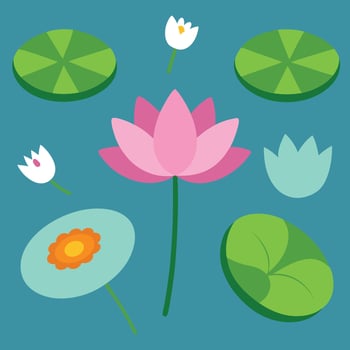 lotus flower and leaves illustration design vector