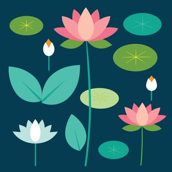 illustration of lotus flowers and leaves on a dark background vector