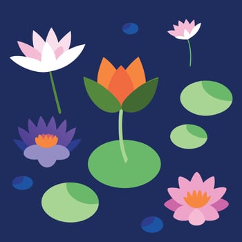water lily flowers and leaves on a dark blue background vector