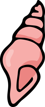 Pastel Peach Conch Shell Illustration Symbol png