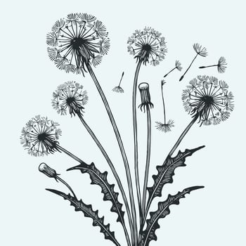Adobe Illustrator Artwork. Spring Flowers Line Art Floral, Leaves Black And White Hand Drawn Illustration Dandelion. Set Of Decorative Elements Of Plants Stylized. vector
