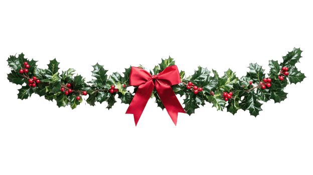 Holly Garland with red ribbon and bow isolate on transparent background png