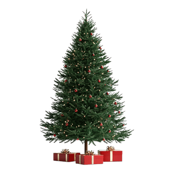 Christmas tree with presents under front view isolate on transparent background png