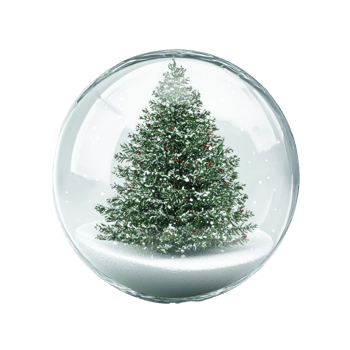 Beautiful christmas tree inside snow ball front view isolate on transparent background png