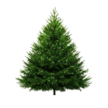 Christmas tree front view isolate on transparent background png