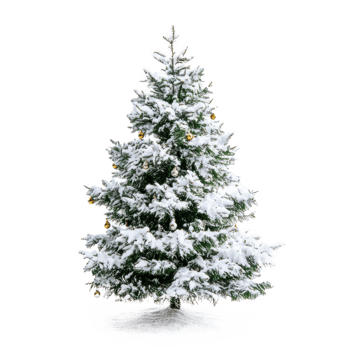 Snow Christmas tree with decoration front view isolate on transparent background png