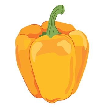 Cartoon paprika. illustration of whole bell pepper. Sweet orange pepper from Bulgaria, farm juicy vegetable, seasoning for cooking. vector