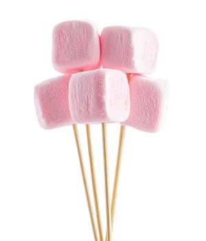 Marshmallow on stick isolate on transparent background png