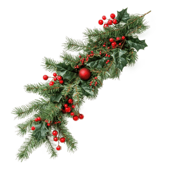 Christmas pine and holly swag isolate on transparent background png