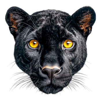 Realistic Black Panther Face Illustration png