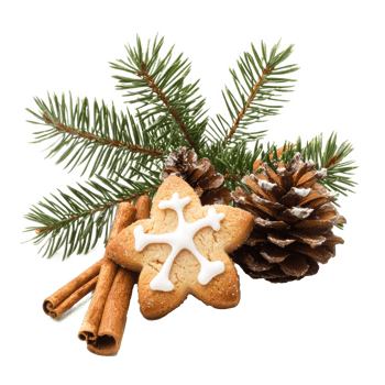 Christmas pine with frosted sugar cookies and cinnamon and fir branch front view isolate on transparent background png