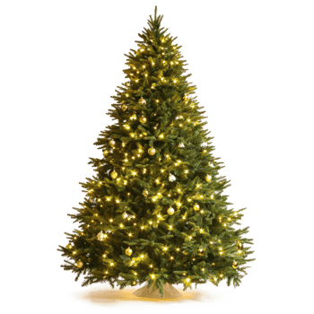 Illuminated Christmas tree front view isolate on transparent background png