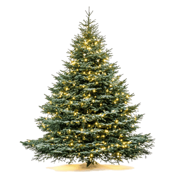 Illuminated Christmas tree front view isolate on transparent background png