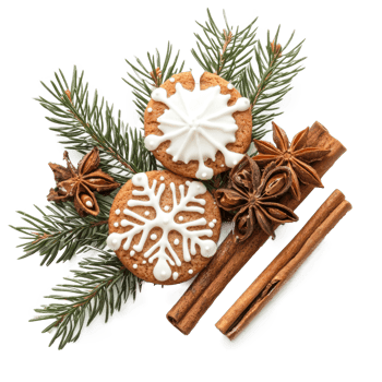 Christmas pine with frosted sugar cookies and cinnamon and fir branch isolate on transparent background png