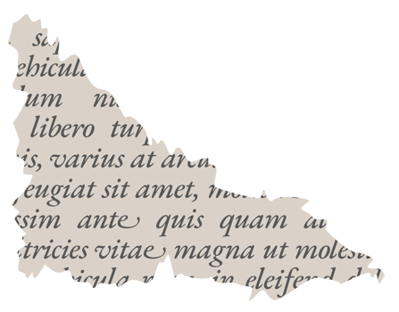 Shredded Paper Pieces with Text Lorem Ipsum png