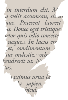 Torn Paper Fragment with Text Layout png