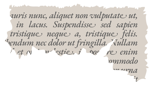 Grunge Torn Paper Sheets with Text png