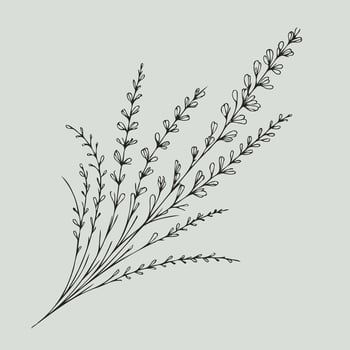 A drawing of a plant with leaves vector