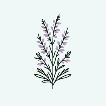 Lavender plant icon illustration vector