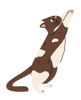 Cute cat playing trying to reach something flat illustration isolated on white. vector