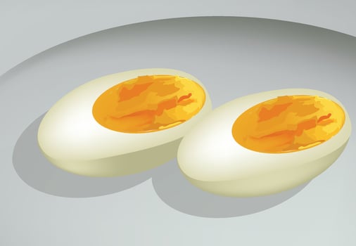 Two boiled eggs on a plate vector