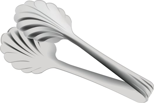 A pair of silver spoons on a white background vector
