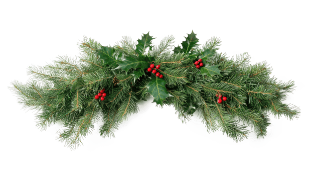 Christmas pine and holly swag isolate on transparent background png