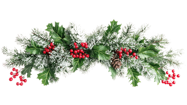 Christmas pine and holly swag with snow isolate on transparent background png