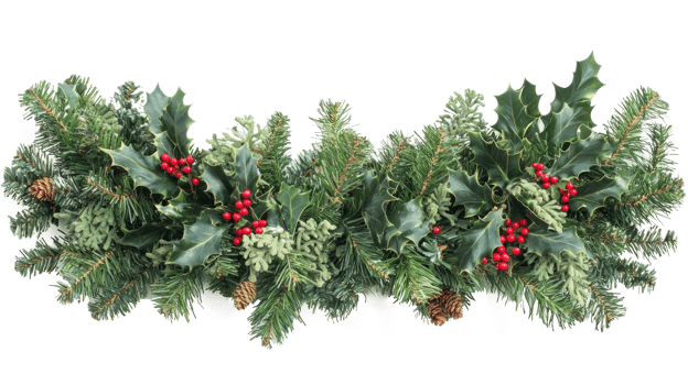 Christmas pine and holly swag isolate on transparent background png