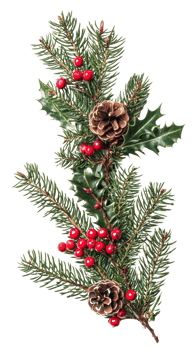 Christmas arrangement of evergreen twigs isolate on transparent background png