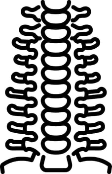 Spine vertebrae icon in linear style vector