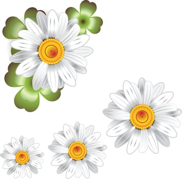 sunflowers logo idea vector