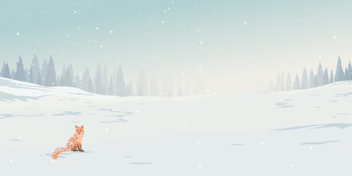Winter landscape with lonely fox covered by white snow have snowfall and silhouette pine forest background graphic illustration. vector