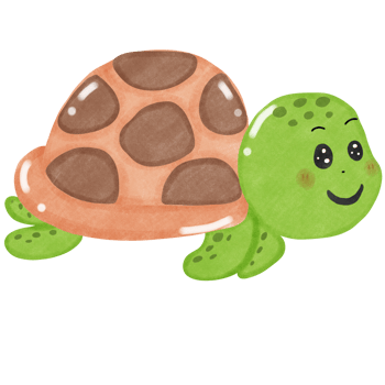 Coral and marine life Little turtle png