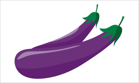 two purple eggplants on a white background vector