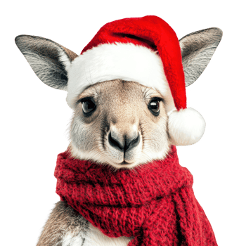 Festive kangaroo wearing Santa hat and red scarf, celebrating Christmas. Isolated on transparent background. png
