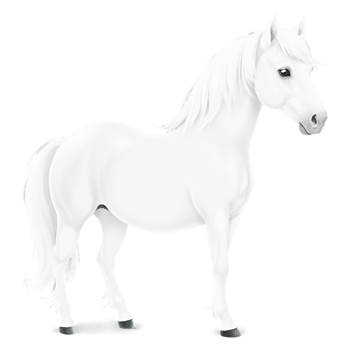 white horse on transparent background png