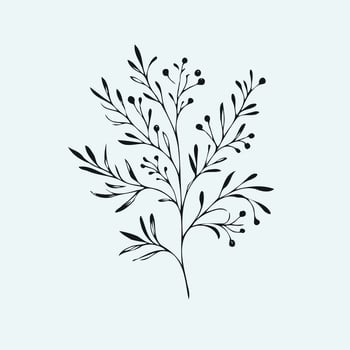 A black and white drawing of a branch with leaves, Set of tree branches, eucalyptus, leaves, herbs and flowers silhouettes vector