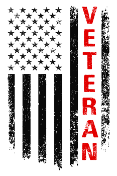 American Veteran Flag png