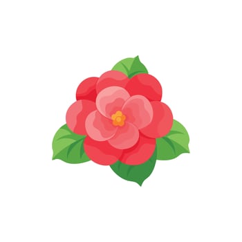Begonia flower isolated flat illustration on white background. vector