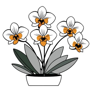 Hand drawn orchid flower coloring book page line art for children and adults vector