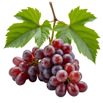 Fresh grape fruit png